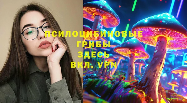 стафф Россошь