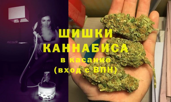 гашик Алзамай