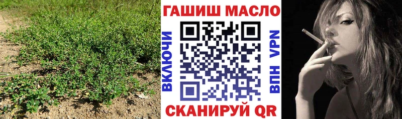 сколько стоит Карачев ТГК вейп