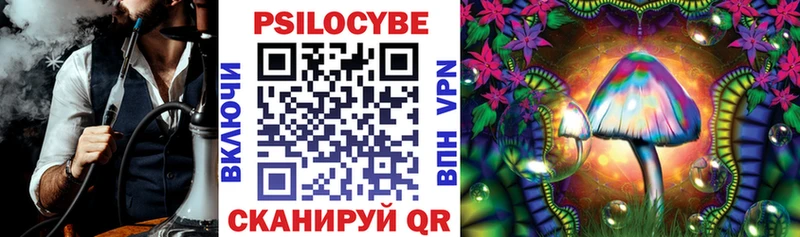 Псилоцибиновые грибы MAGIC MUSHROOMS ОМГ ОМГ сайт Карачев